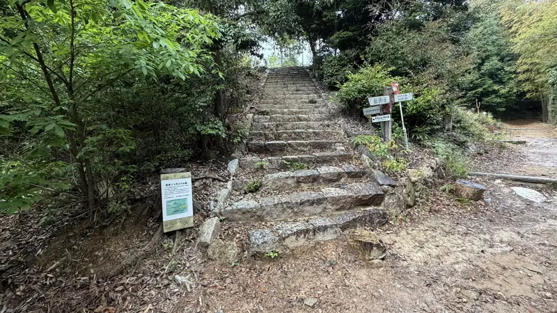 Along the trail