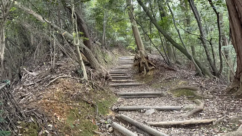 Along the trail
