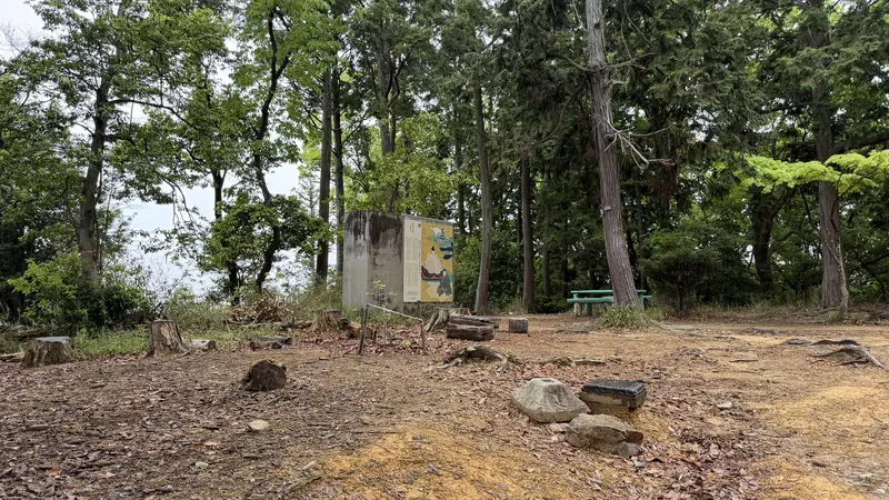 An enclosure within the castle ruins