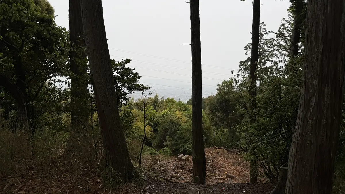 The view from the castle ruins