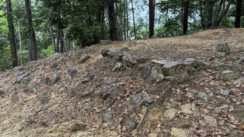 Stones observed within Yamazaki Castle Ruins