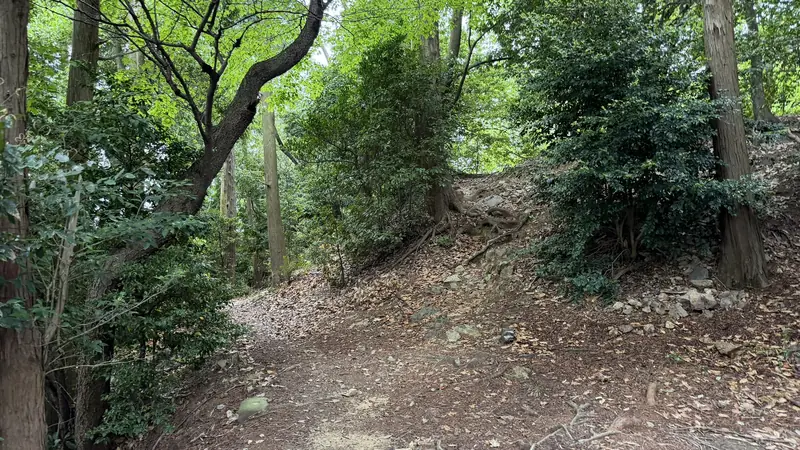The area around the castle ruins