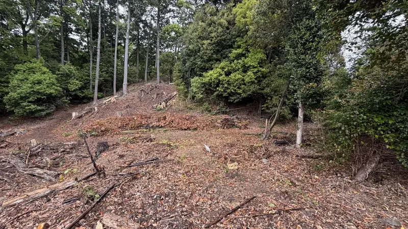 The area around the castle ruins
