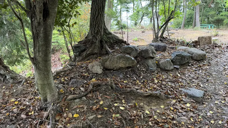 Stones observed within Yamazaki Castle Ruins