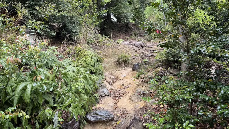 An uneven stretch of trail