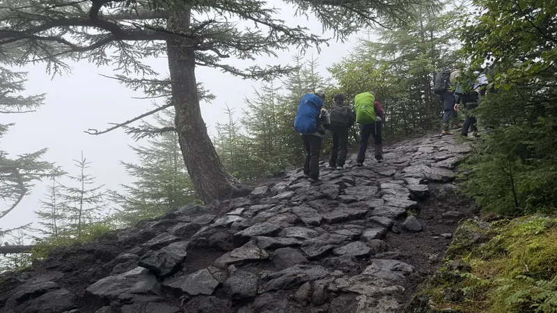 霧の中の石段を登る登山者