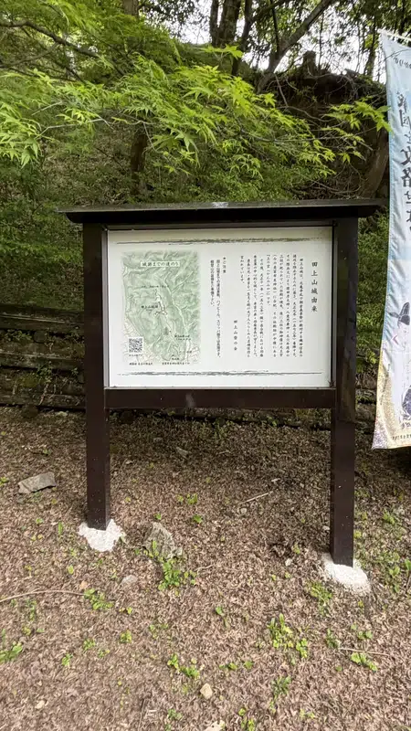 The trail continuing through a cedar forest, past the information sign