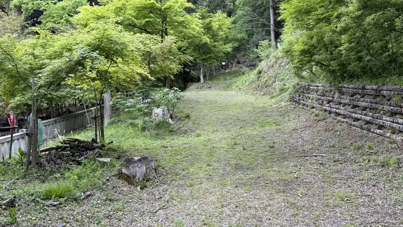 An unpaved, grass-covered stretch of the trail