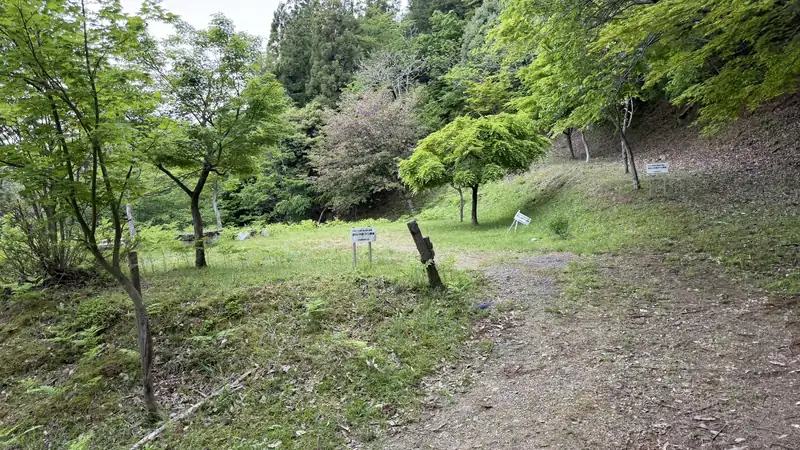 A directional sign posted along the mountain trail