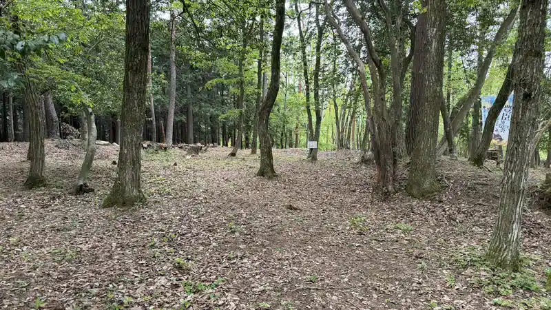 The visitor path crossing flat ground inside the enclosure