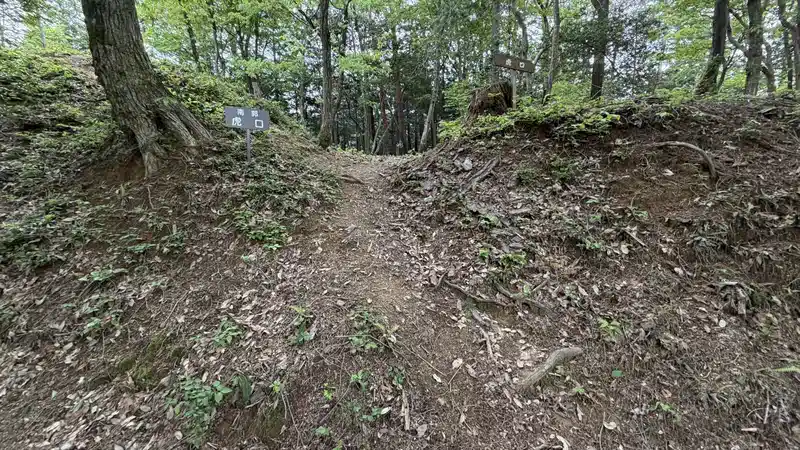A sign marking the koguchi, beside a dirt path with exposed tree roots