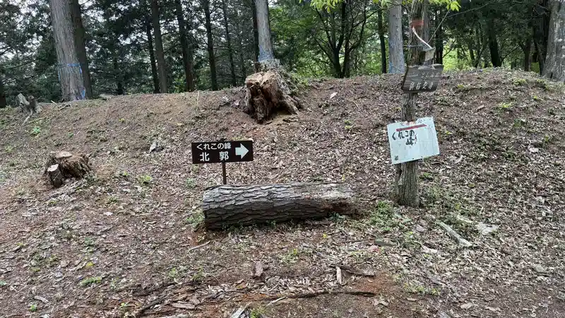 A junction in the visitor path inside the enclosure