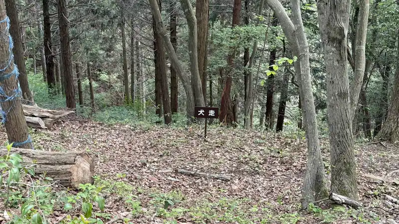 An earthen step in the terrain, with a sign identifying it