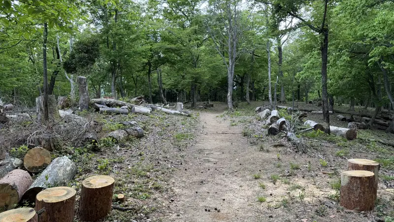 An open path running through the enclosure