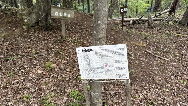 A fortification map, with rampart-like terrain visible behind it