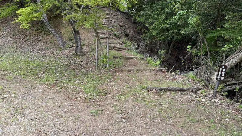 Wooden steps next to a directional sign