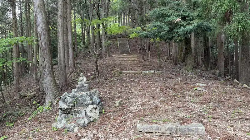 Wooden steps in a cedar forest, near a small cluster of stones