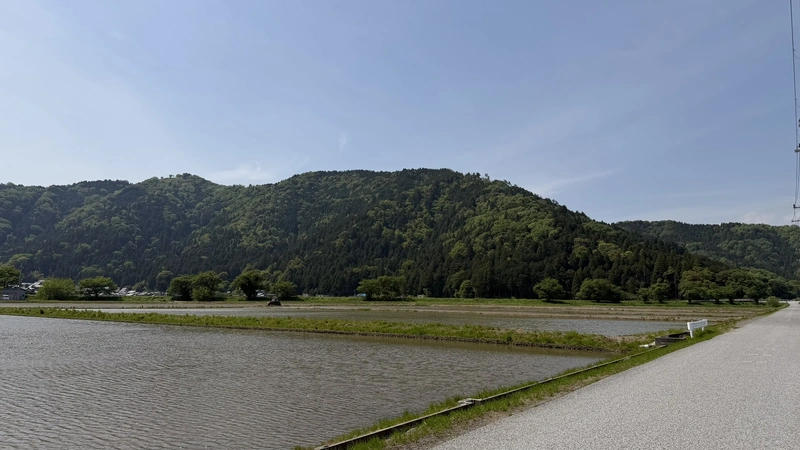 Rice paddies along the road to the lift