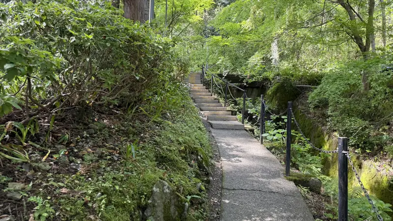 Steps leading up to the lift boarding area