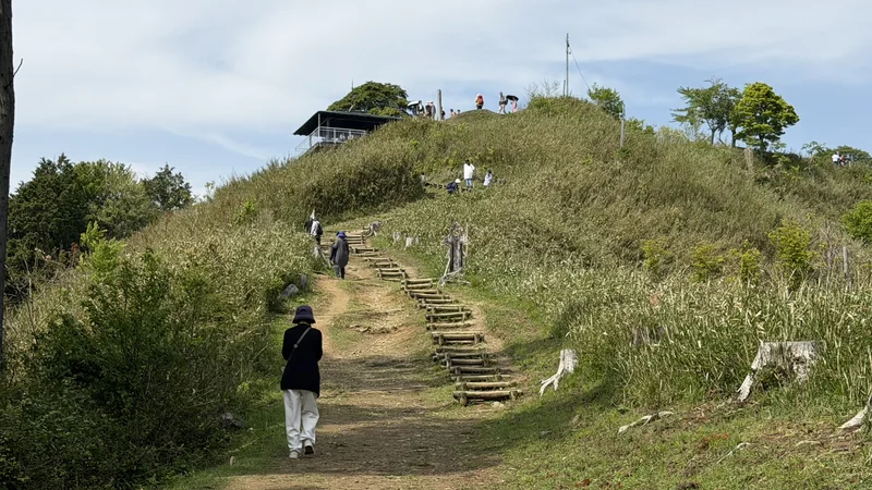 Log-built steps section on the way to the summit
