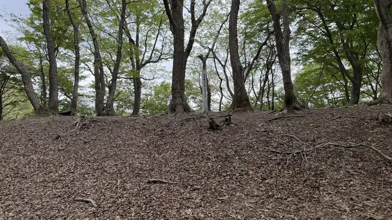 玄蕃尾城跡の大手郭付近
