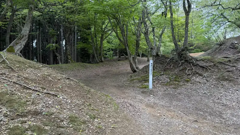 玄蕃尾城跡の東虎口付近