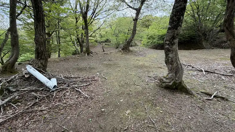 玄蕃尾城跡の張出郭付近