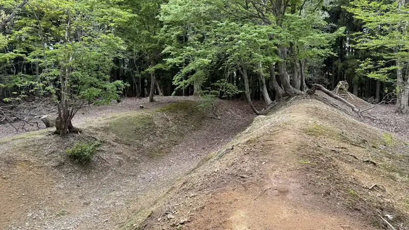 玄蕃尾城跡に残る土塁と空堀