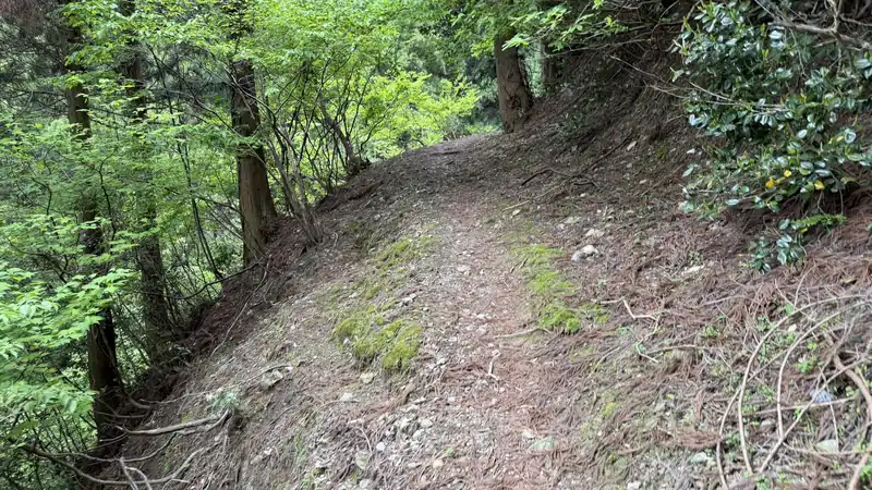 雨後に湿った玄蕃尾城跡への登城道