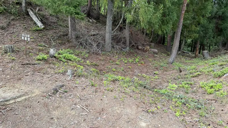 Terrain of the South Dry Moat, cutting across the ridge