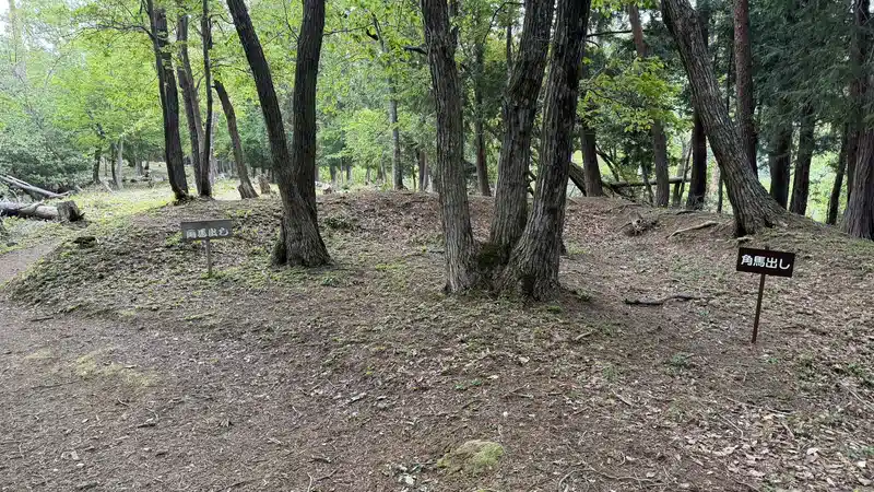 The terrain of the defensive earthworks at Tagamiyama Fort