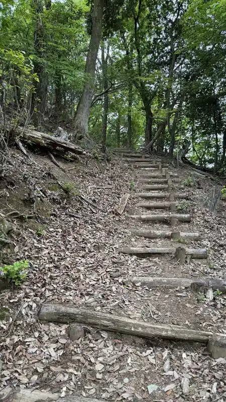 Trail steps covered with fallen leaves