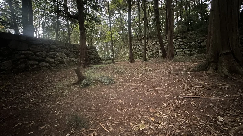 Dirt path and stone walls around Azuchi Castle's Honmaru ruins. Surviving stonework encloses the enclosure among the trees.