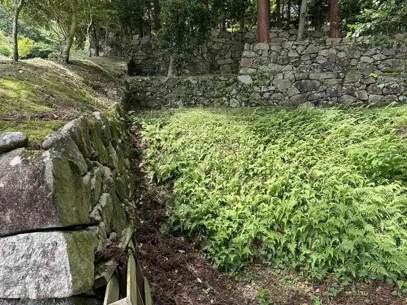 Stone steps and walls at the residence ruins traditionally attributed to Maeda Toshiie, covered in ferns and following the terraced slope.