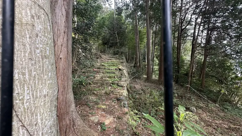 Stone steps at the residence ruins traditionally attributed to Maeda Toshiie, rising upward through the trees with stone walls on both sides.