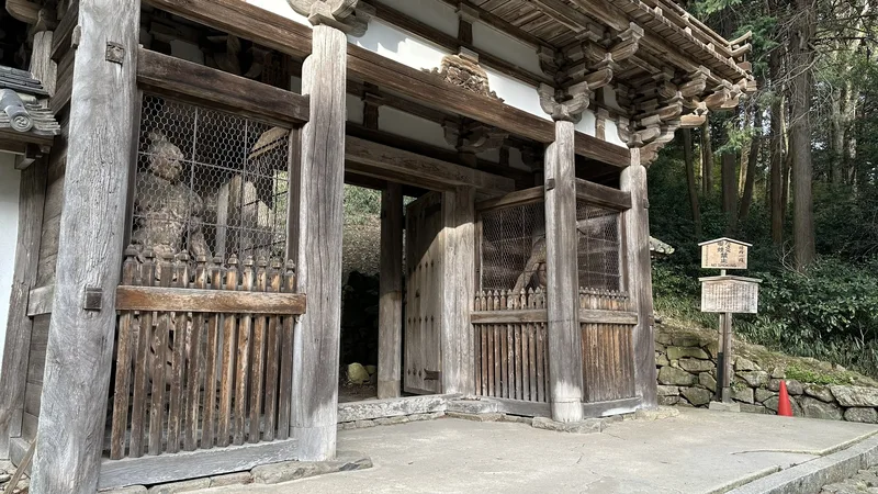 A diagonal view of the Nio Gate, with the Nio guardian statues visible through the wire mesh on either side.