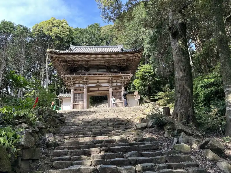 The Nio Gate of Sōken-ji standing atop a long flight of stone steps, surrounded by fresh green trees.