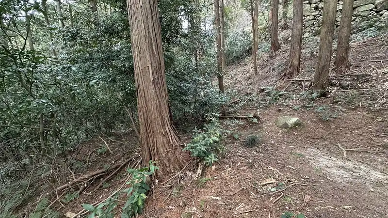 Woodland and stone walls around the traditional Oda Nobuzumi mansion site, with a dirt path running between the trees.