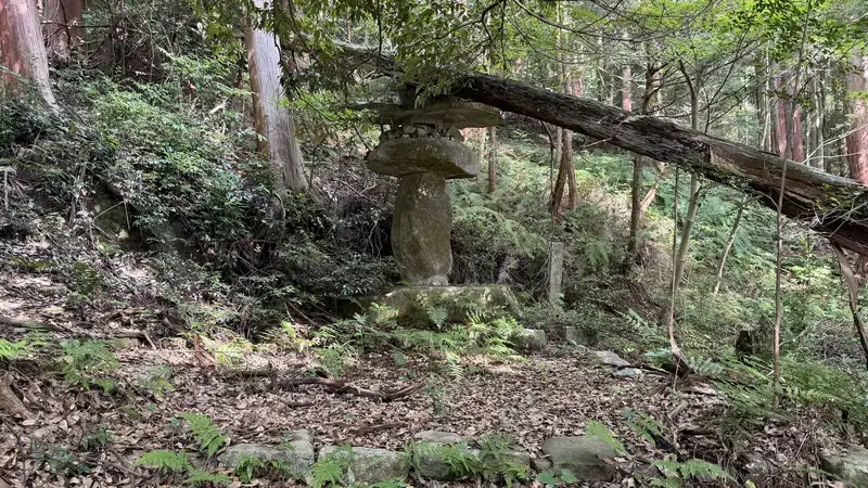 A large stone lantern known as the 'Obake Tōrō' standing in the woods, with a fallen tree branch resting across its cap.