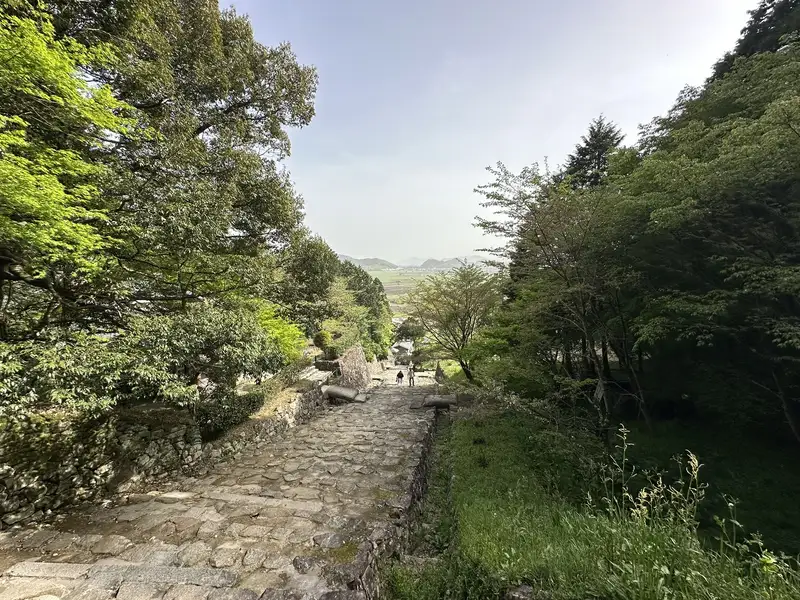 A view looking down Otemichi from above, with the stone-paved path leading toward the open plain beyond.