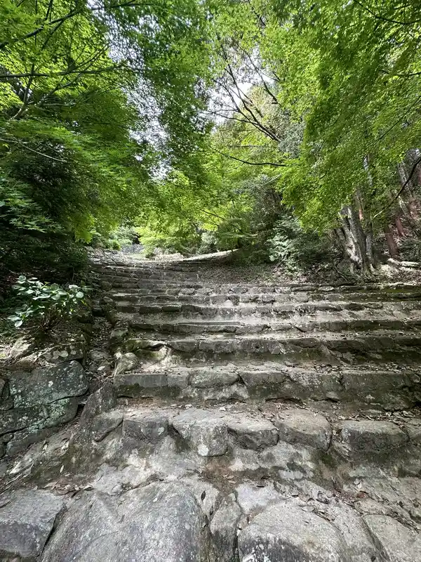 Otemichi's stone stairway shaded by fresh green foliage, with the wide steps continuing upward.
