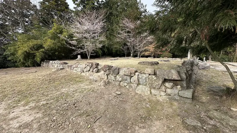 The flat clearing of Sōken-ji's former main hall site, surrounded by cherry trees, with a low stone wall and foundation stones.