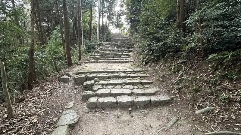 Stone steps rising through a cedar grove toward the buildings of Sōken-ji.