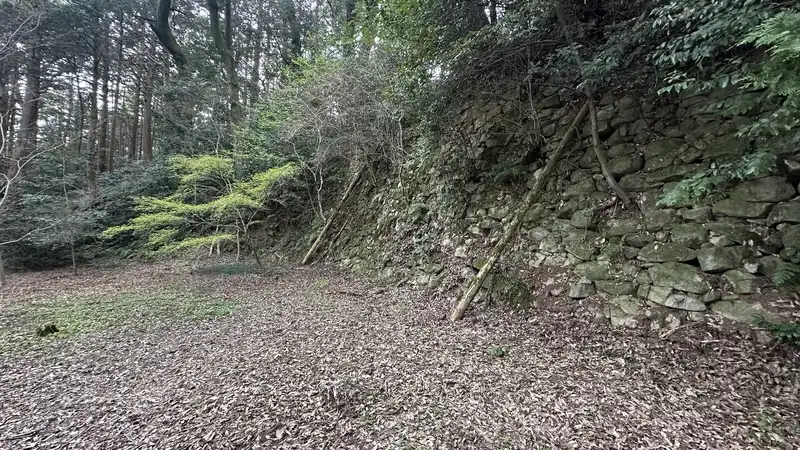A long stone wall remaining near the residence ruins attributed to Takei Sekian, facing a leaf-covered flat terrace.