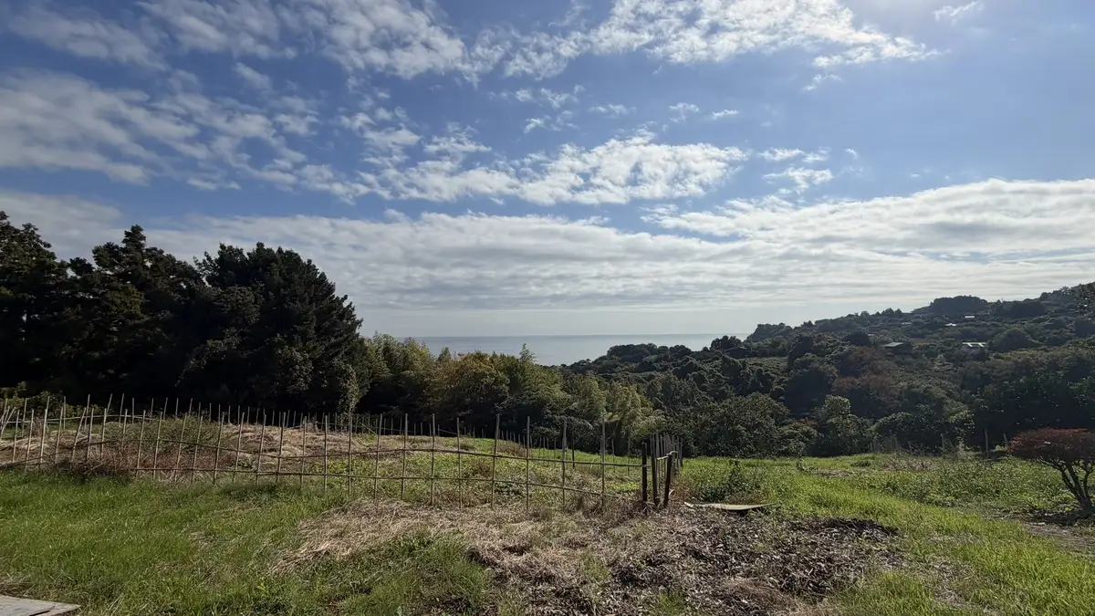 Sagami Bay seen beyond the citrus orchards on the hillside