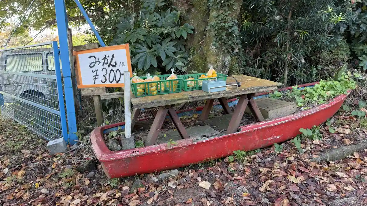 Citrus fruit laid out on a boat-shaped stand at an unstaffed roadside stall
