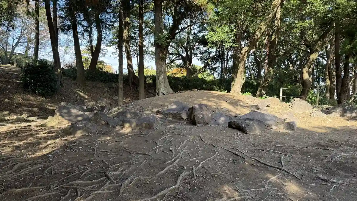 Remains of stone walling around the south enclosure