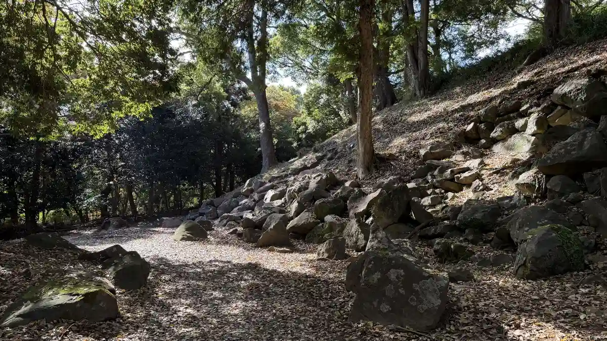 Remains of stone walling around the south enclosure