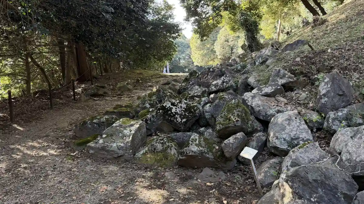 Remains of stone walling around the south enclosure