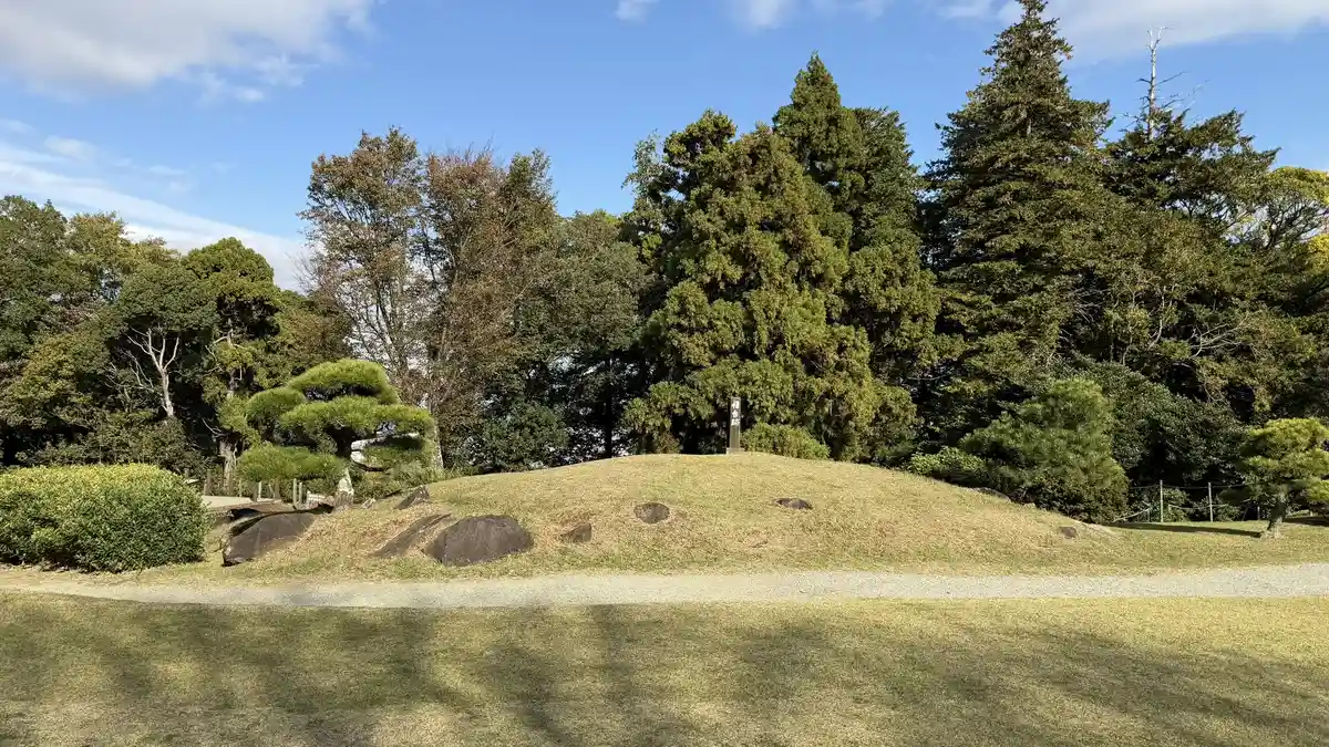 The open ground of the second enclosure and the surrounding woodland